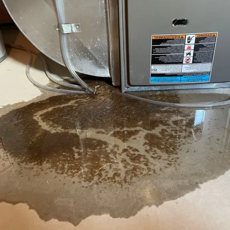 Pipe Burst and Leak Restoration in Sheridan, IN